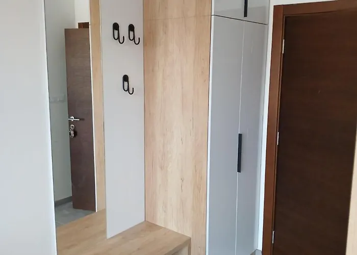 A&n President Kop 카파오닉